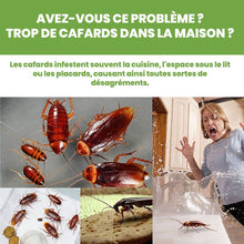 Carregar imagem no visualizador da galeria, StopCafards – Répulsif contre les cafards | Dernières Unités
