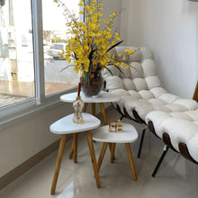 Carregar imagem no visualizador da galeria, Kit Trio Jogo de Mesinhas Lateral Sala Pé Palito Retro Tampo Orgânico
